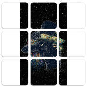 Магнитные фотопазлы 50 на 50 набор 9 штук 