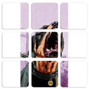 Магнитные фотопазлы 50 на 50 набор 9 штук 