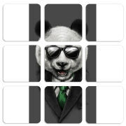 Магнитные фотопазлы 50 на 50 набор 9 штук 