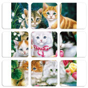 Магнитные фотопазлы 50 на 50 набор 9 штук 