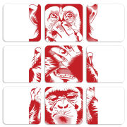 Магнитные фотопазлы 50 на 50 набор 9 штук 