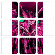 Магнитные фотопазлы 50 на 50 набор 9 штук 