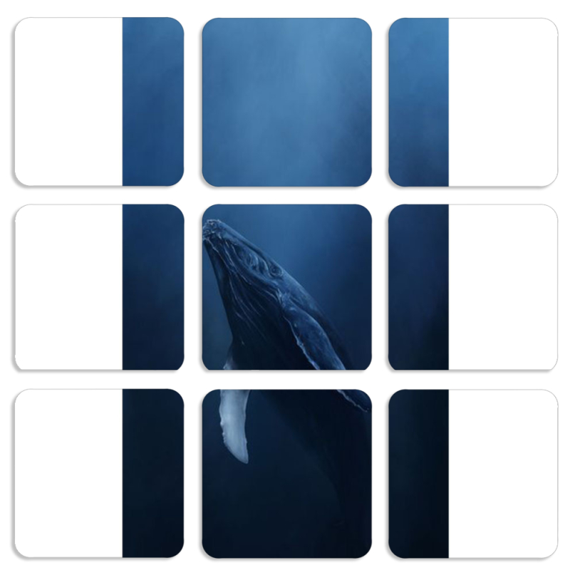 Магнитные фотопазлы 50 на 50 набор 9 штук 