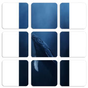 Магнитные фотопазлы 50 на 50 набор 9 штук 