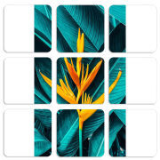 Магнитные фотопазлы 50 на 50 набор 9 штук 