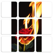 Магнитные фотопазлы 50 на 50 набор 9 штук 