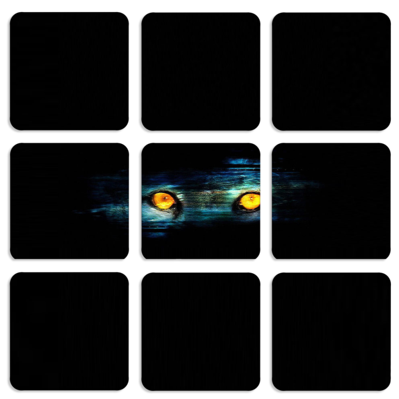 Магнитные фотопазлы 50 на 50 набор 9 штук Eyes in the Dark