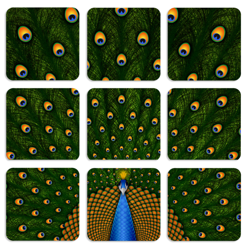 Магнитные фотопазлы 50 на 50 набор 9 штук Peacocks Tail