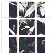 Магнитные фотопазлы 50 на 50 набор 9 штук 