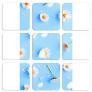 Магнитные фотопазлы 50 на 50 набор 9 штук 