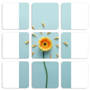 Магнитные фотопазлы 50 на 50 набор 9 штук 