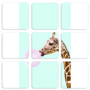 Магнитные фотопазлы 50 на 50 набор 9 штук 