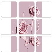 Магнитные фотопазлы 50 на 50 набор 9 штук 