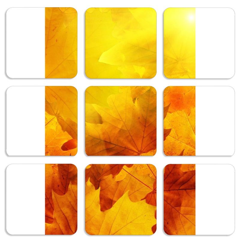 Магнитные фотопазлы 50 на 50 набор 9 штук 