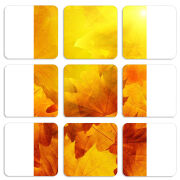 Магнитные фотопазлы 50 на 50 набор 9 штук 