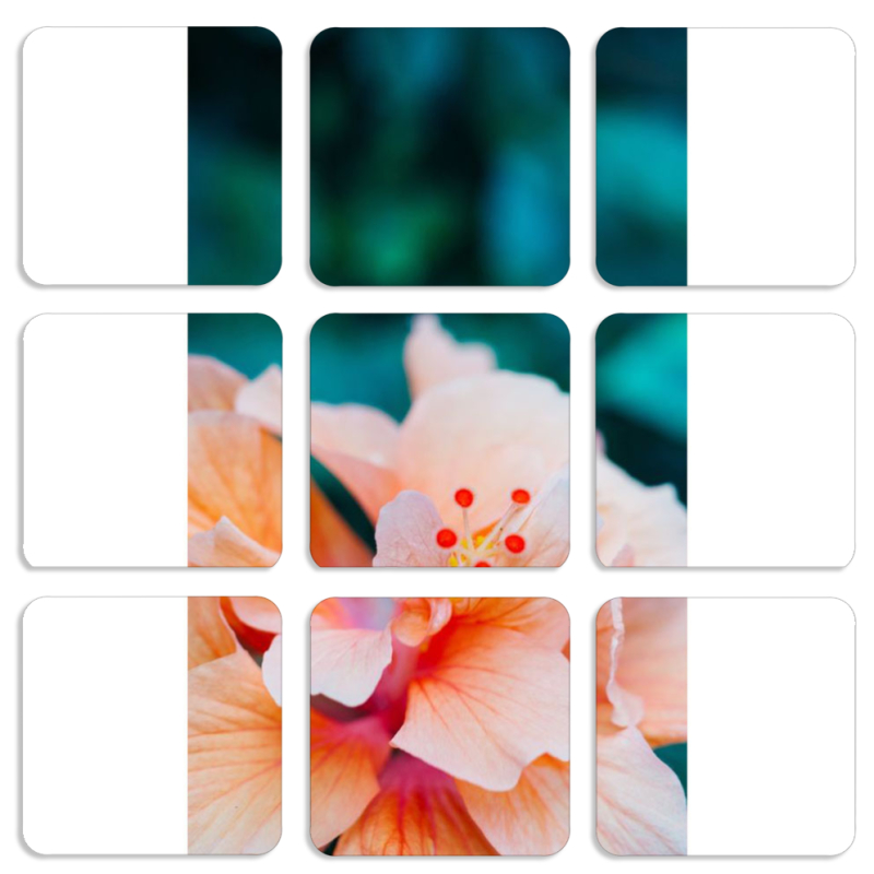 Магнитные фотопазлы 50 на 50 набор 9 штук 