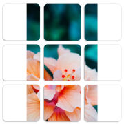 Магнитные фотопазлы 50 на 50 набор 9 штук 