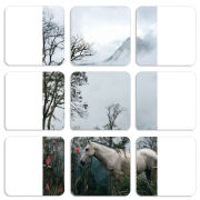 Магнитные фотопазлы 50 на 50 набор 9 штук 