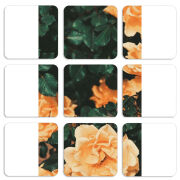 Магнитные фотопазлы 50 на 50 набор 9 штук 