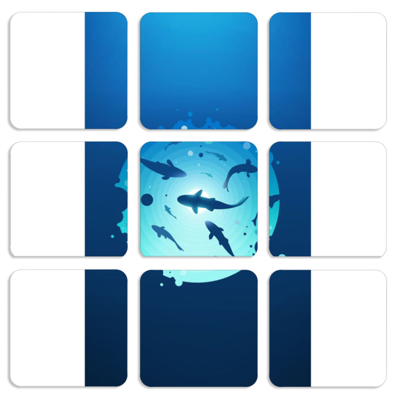 Магнитные фотопазлы 50 на 50 набор 9 штук 