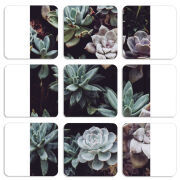 Магнитные фотопазлы 50 на 50 набор 9 штук 