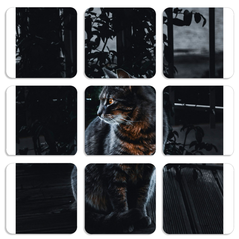 Магнитные фотопазлы 50 на 50 набор 9 штук 