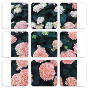 Магнитные фотопазлы 50 на 50 набор 9 штук 