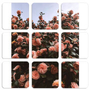 Магнитные фотопазлы 50 на 50 набор 9 штук 