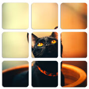 Магнитные фотопазлы 50 на 50 набор 9 штук 