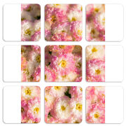 Магнитные фотопазлы 50 на 50 набор 9 штук 