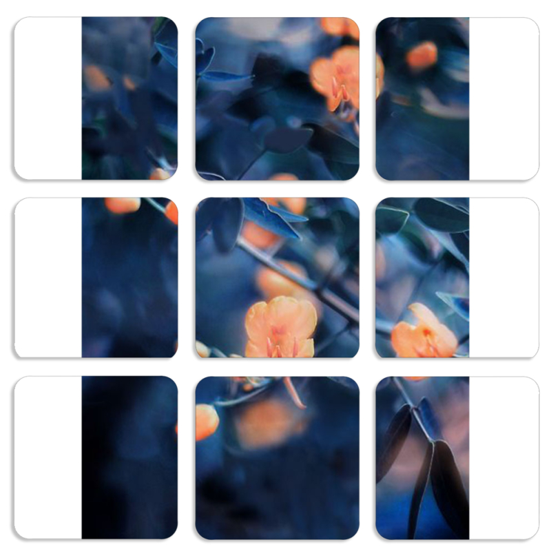 Магнитные фотопазлы 50 на 50 набор 9 штук 