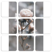 Магнитные фотопазлы 50 на 50 набор 9 штук 