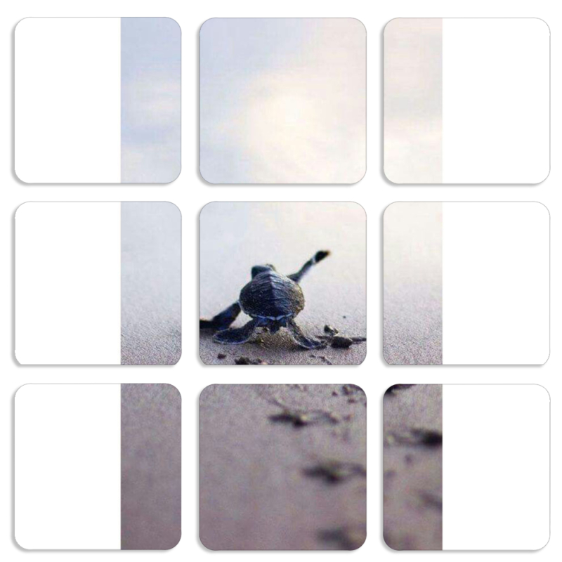 Магнитные фотопазлы 50 на 50 набор 9 штук 