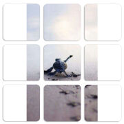 Магнитные фотопазлы 50 на 50 набор 9 штук 