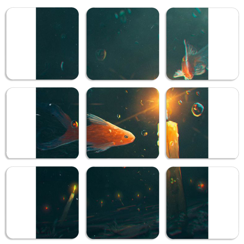 Магнитные фотопазлы 50 на 50 набор 9 штук 