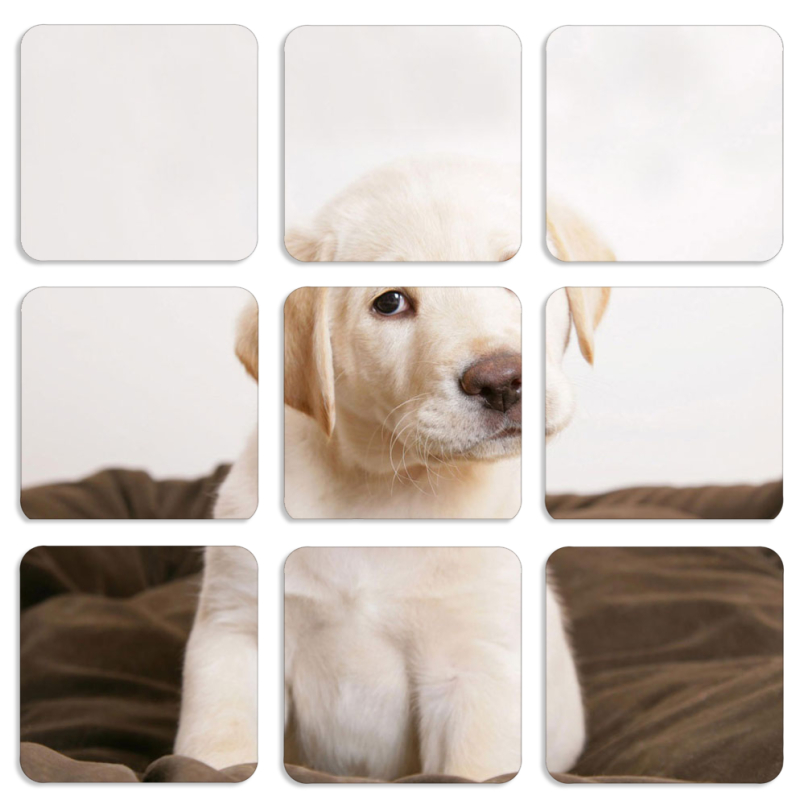 Магнитные фотопазлы 50 на 50 набор 9 штук Puppy Labrador
