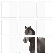 Магнитные фотопазлы 50 на 50 набор 9 штук 