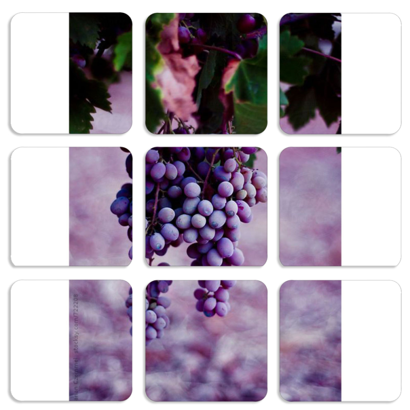 Магнитные фотопазлы 50 на 50 набор 9 штук 