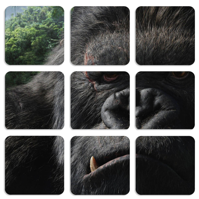 Магнитные фотопазлы 50 на 50 набор 9 штук Kong