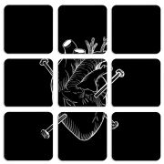 Магнитные фотопазлы 50 на 50 набор 9 штук 