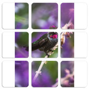 Магнитные фотопазлы 50 на 50 набор 9 штук 