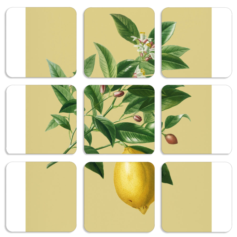 Магнитные фотопазлы 50 на 50 набор 9 штук 