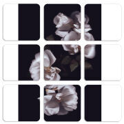 Магнитные фотопазлы 50 на 50 набор 9 штук 