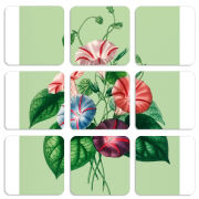 Магнитные фотопазлы 50 на 50 набор 9 штук 