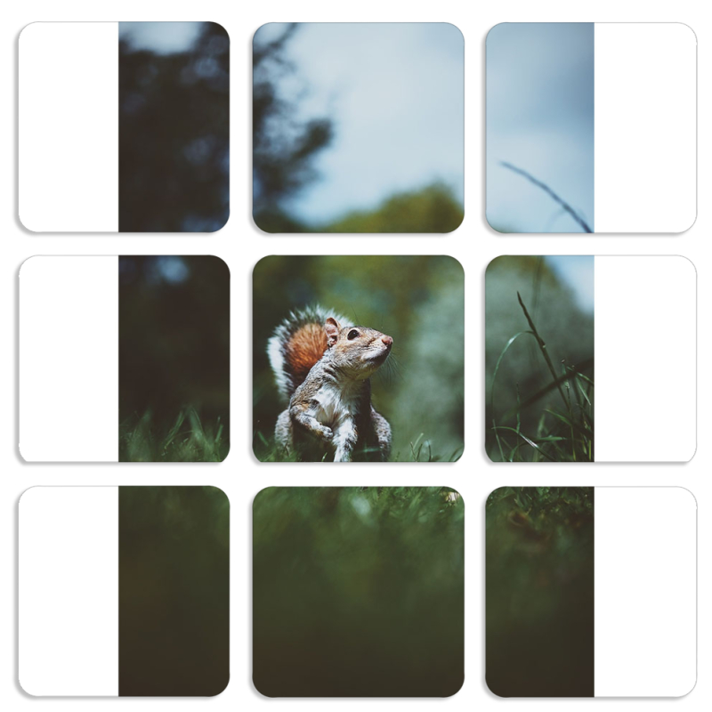 Магнитные фотопазлы 50 на 50 набор 9 штук 