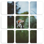 Магнитные фотопазлы 50 на 50 набор 9 штук 