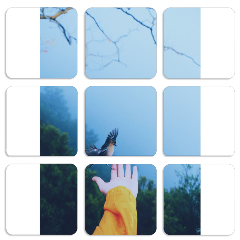 Магнитные фотопазлы 50 на 50 набор 9 штук 