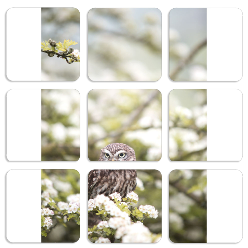 Магнитные фотопазлы 50 на 50 набор 9 штук 