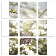 Магнитные фотопазлы 50 на 50 набор 9 штук 