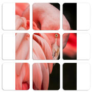 Магнитные фотопазлы 50 на 50 набор 9 штук 